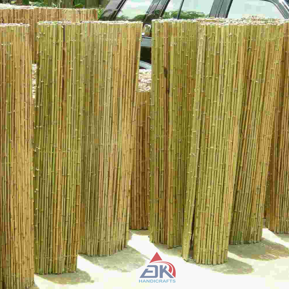 Bamboo Fence