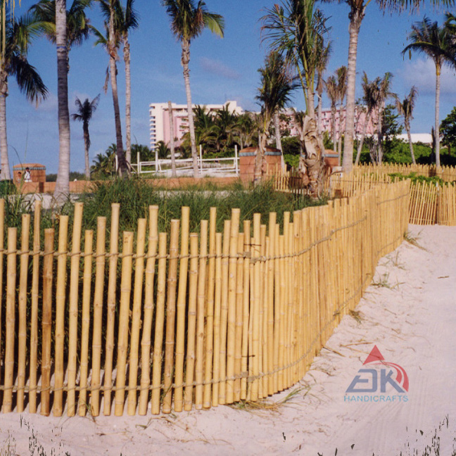 Bamboo Fence