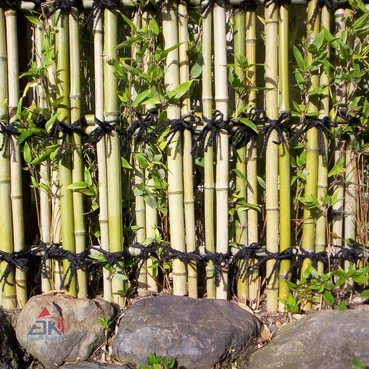 Bamboo Fence