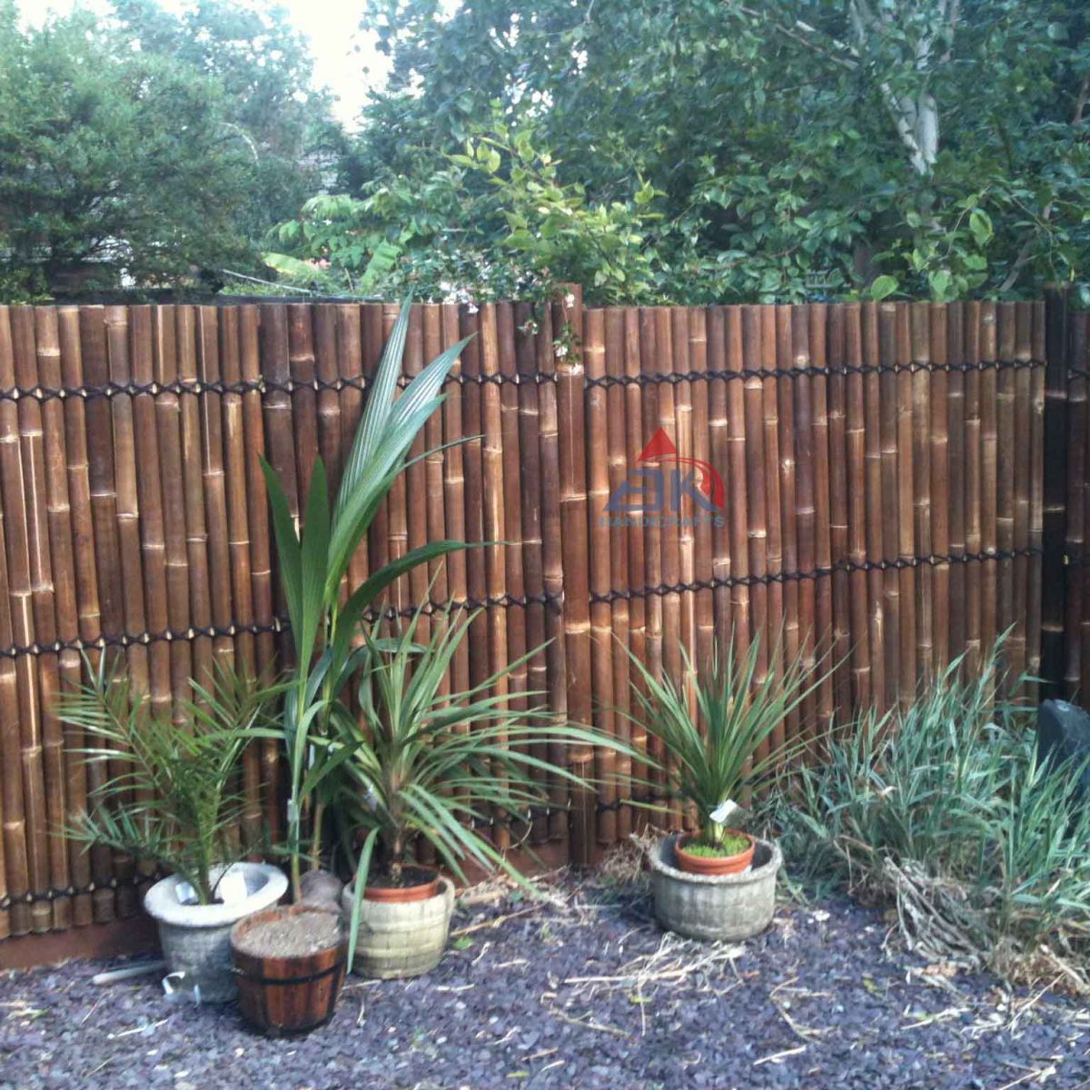 Bamboo Fence