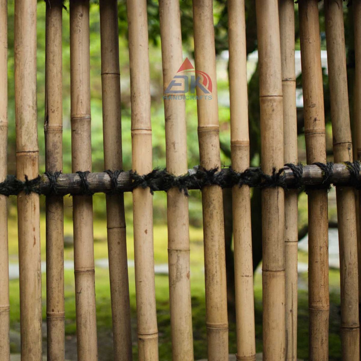 Bamboo Fence