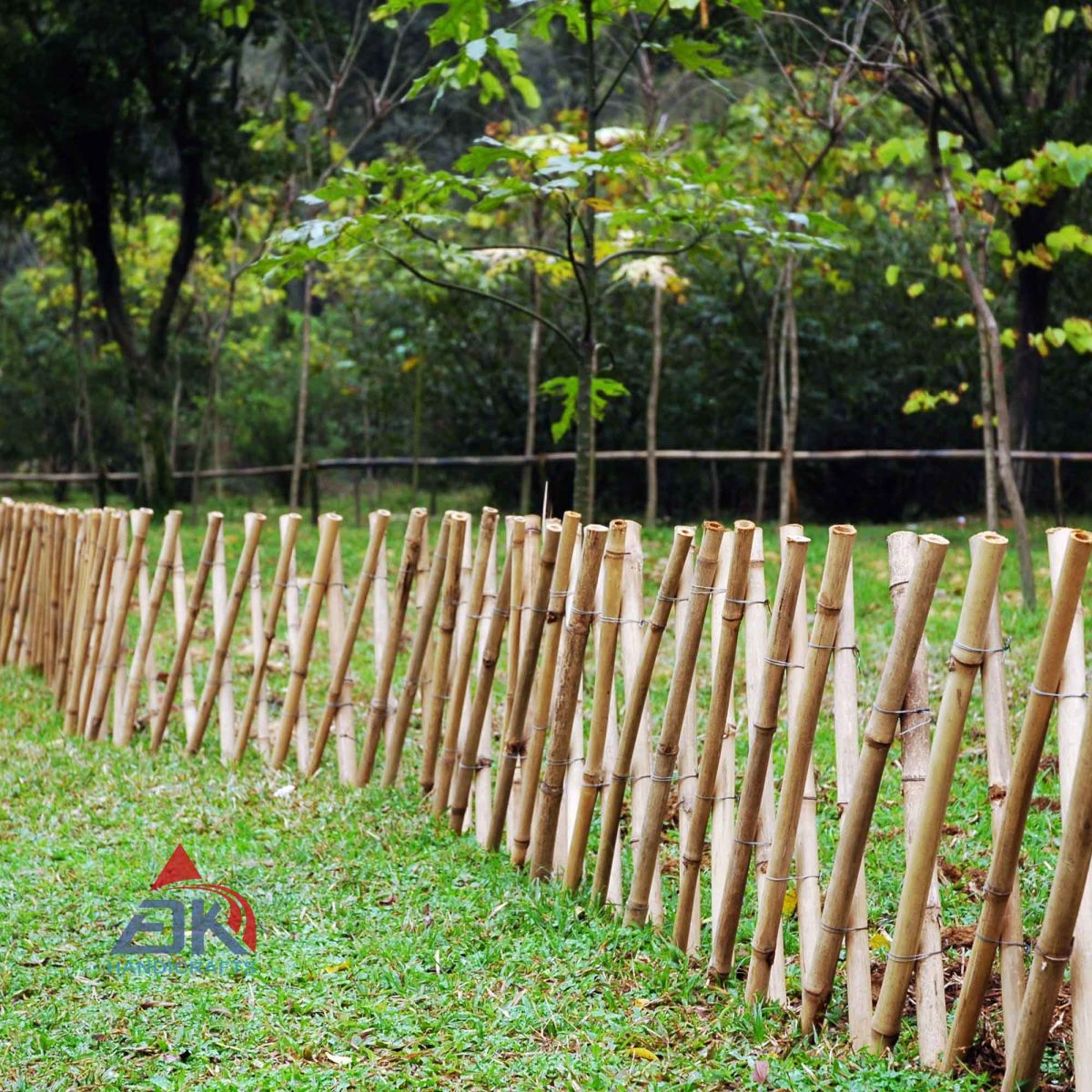 Bamboo Fence