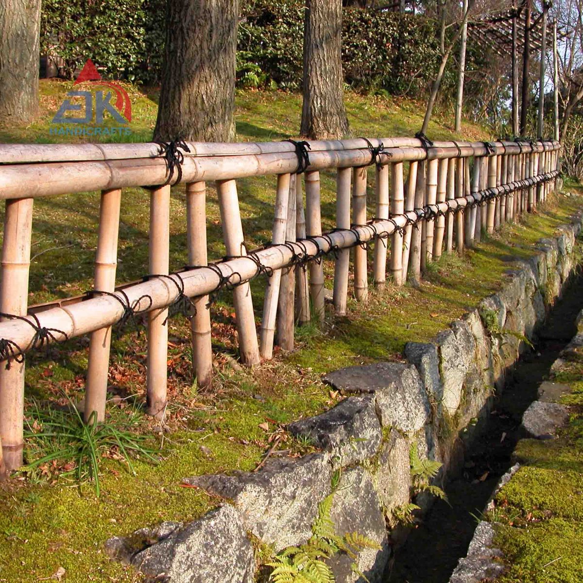 Bamboo Fence