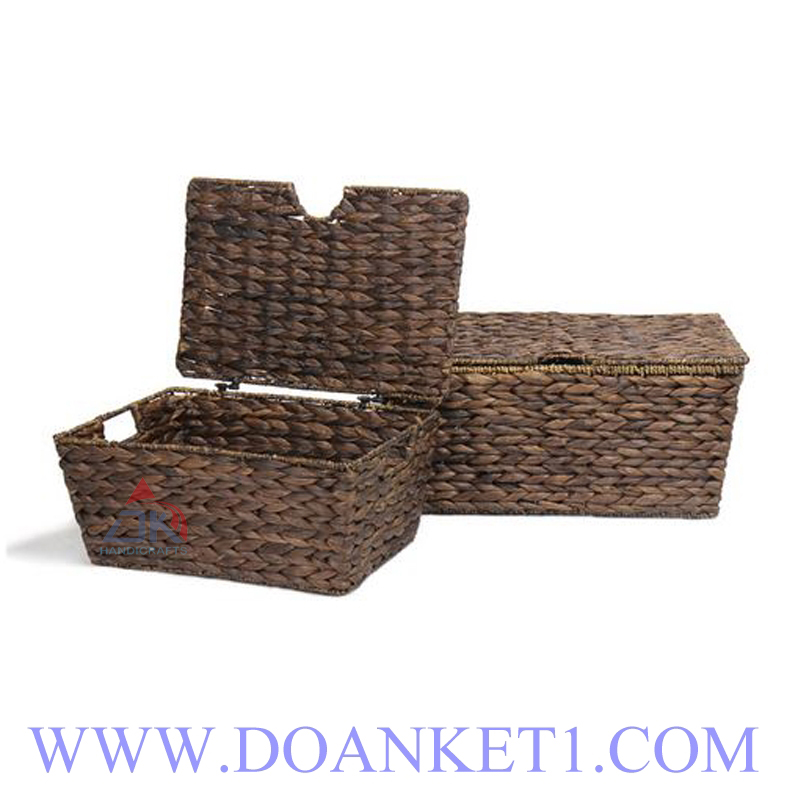 Water Hyacinth Basket With Lid S/2 # DK341