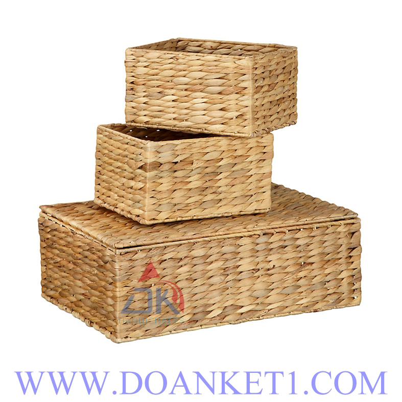 Water Hyacinth Basket With Lid S/3 # DK411