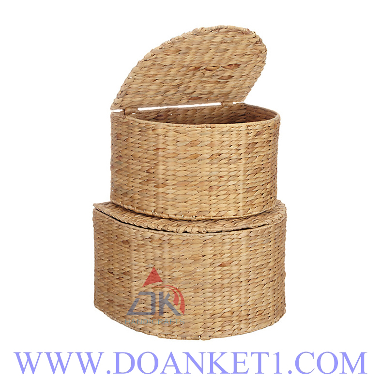 Water Hyacinth Basket With Lid S/2 # DK415